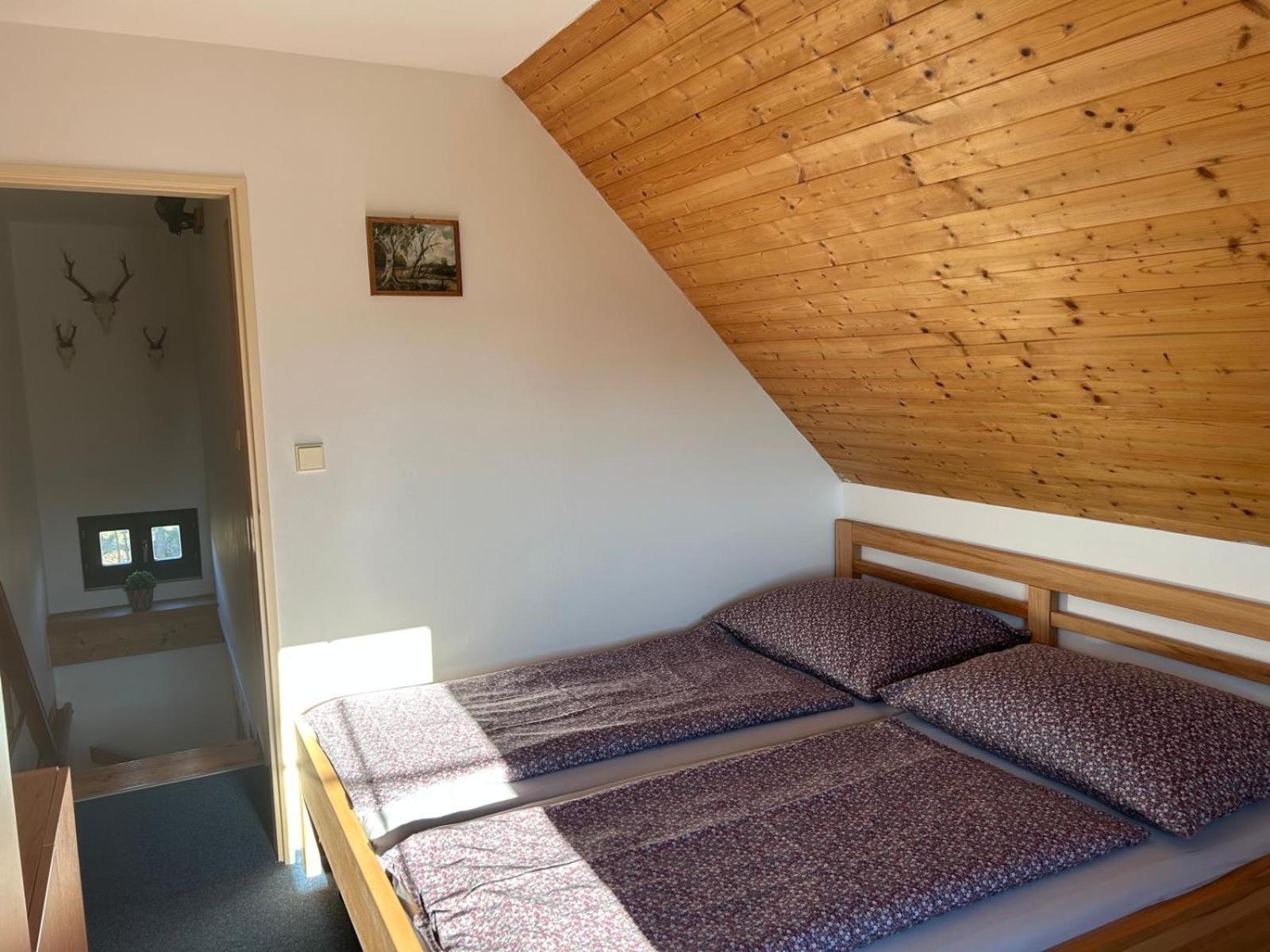 Vila 66 - Cista V Krkonosich แชร์นีดุล ภายนอก รูปภาพ